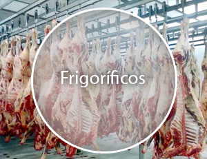 frigorificos